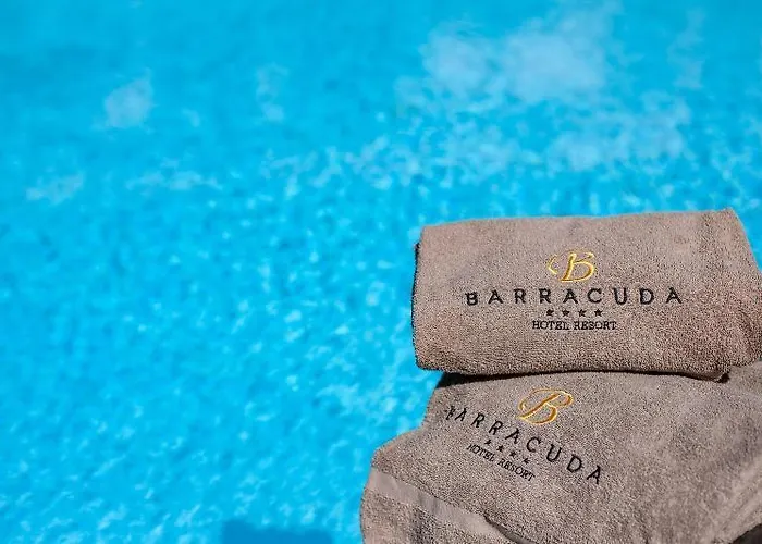 Barracuda マリーナ・ディ・カンポ