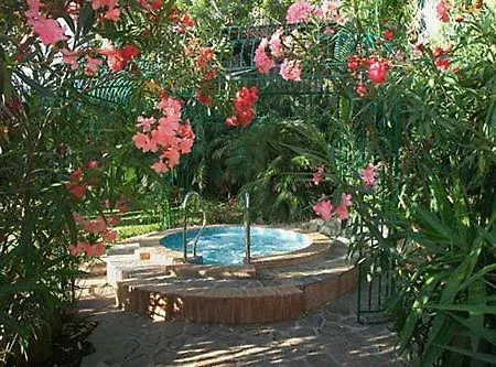 Hotel Barracuda 4*